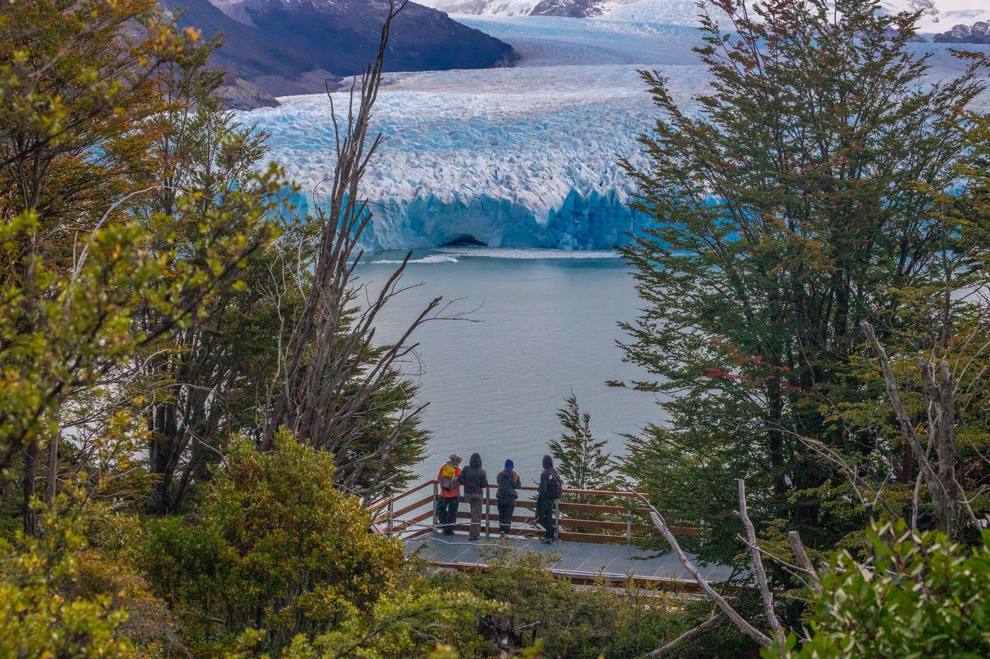 Un grupo pequeño en una pasarela entre el bosque, frente al glaciar