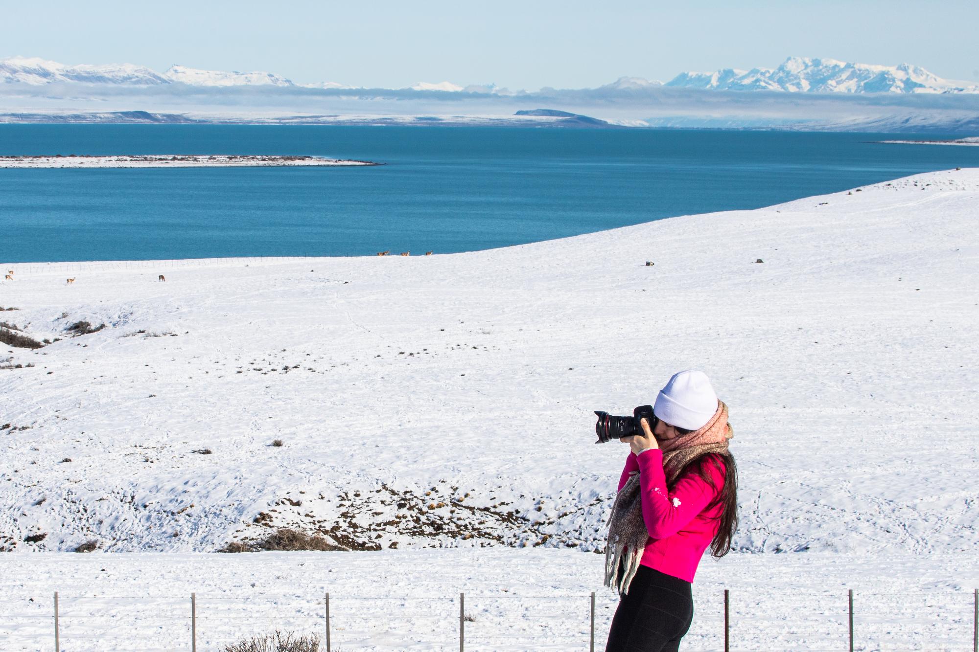 Una viajera fotografía el Lago Argentino desde la estepa nevada, con guanacos a lo lejos